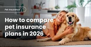 Best Pet Insurance UK – Affordable Monthly Plans (2026 Guide)